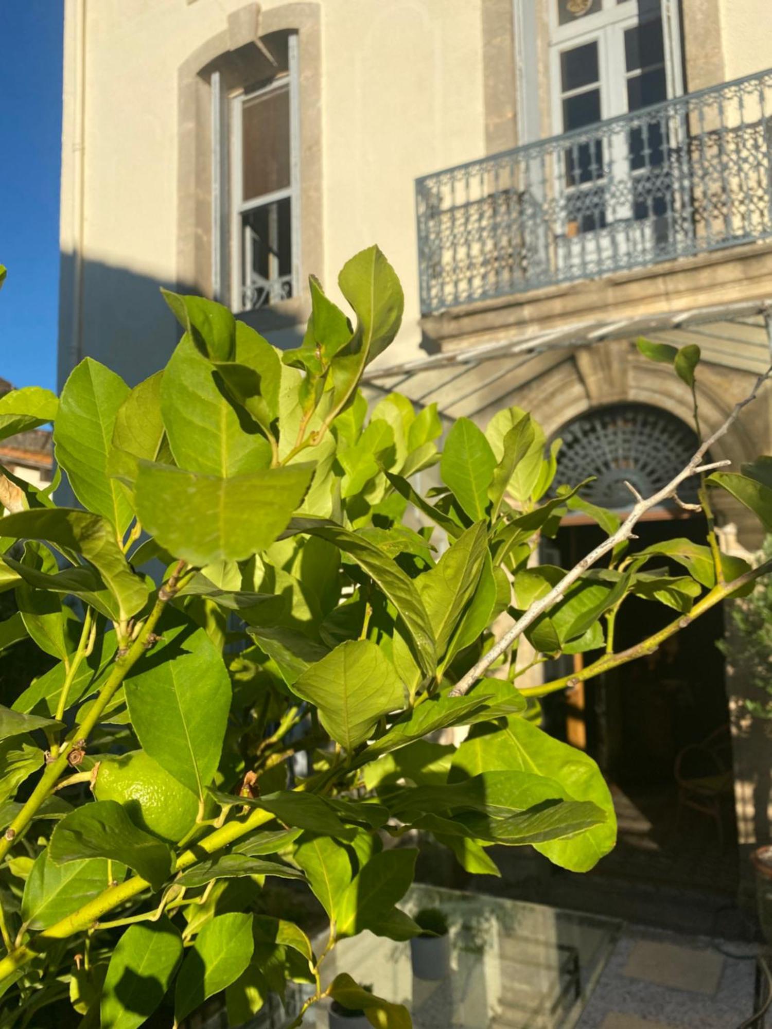 Le Jardin Hotel Aspiran Kültér fotó